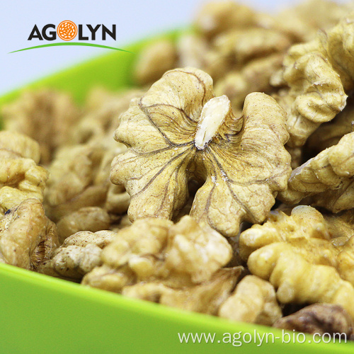 Ukraine new crop good price white walnut kernel